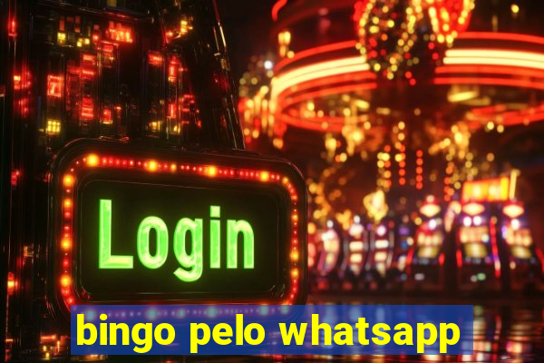 bingo pelo whatsapp